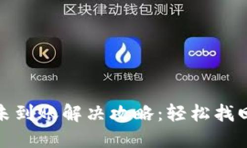 小狐钱包未到账解决攻略：轻松找回您的资金